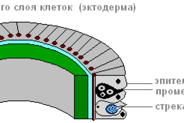 Что продают на сайте кракен