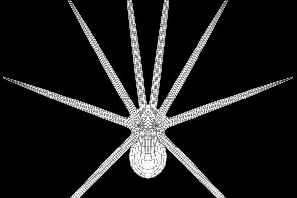 Kraken 18at