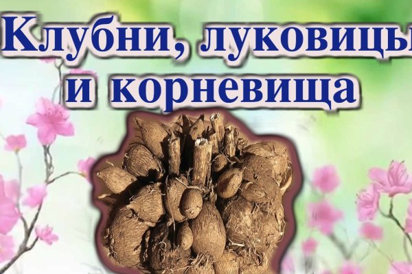 Kraken onion ссылка
