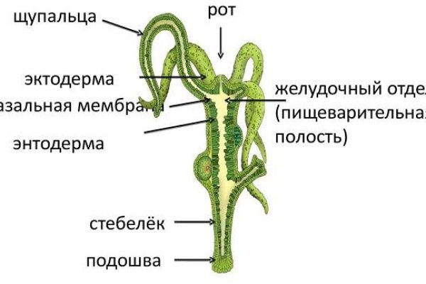 Зарегистрироваться на сайте кракен