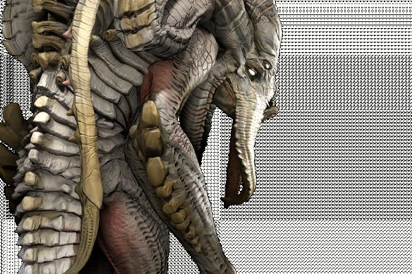 Krakin13 at