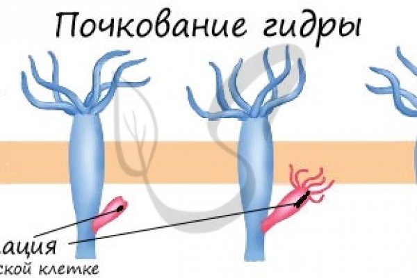 Кракен маркет это