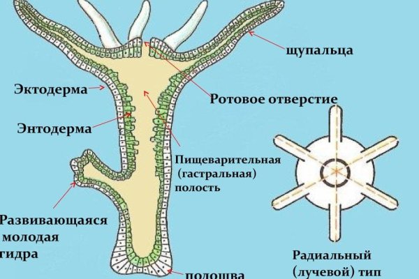 Войти на кракен